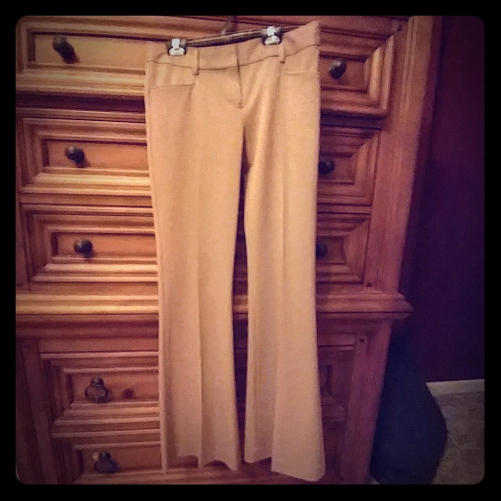 Express editor flare leg slacks